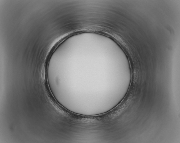 X0000113090838200909251008