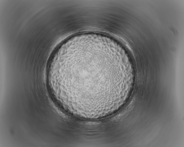 X0000113090839200909251008
