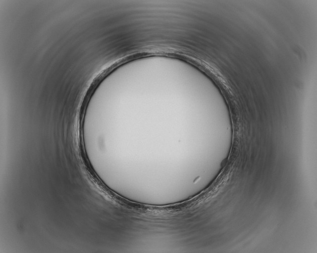 X0000113090840200909251008
