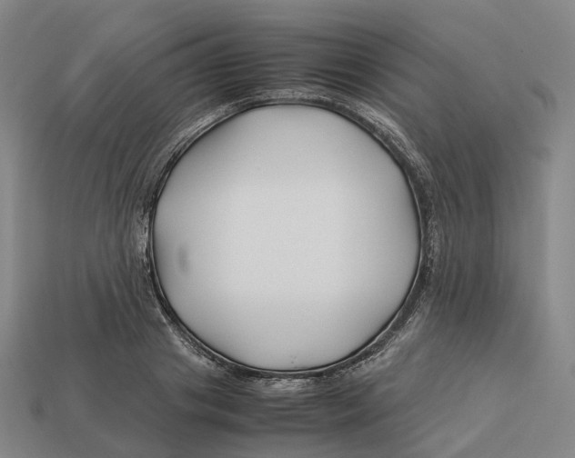 X0000113090841200909251008
