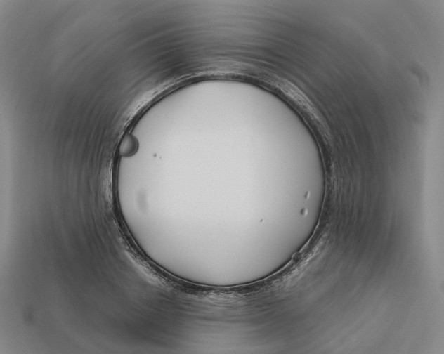 X0000113090842200909251008