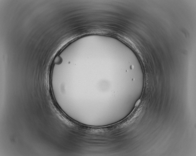 X0000113090843200909251008