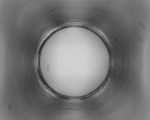 X0000113090844200909251008