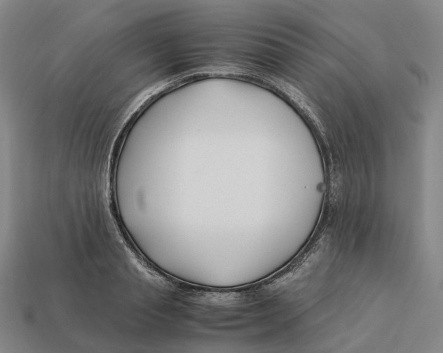 X0000113090845200909251008