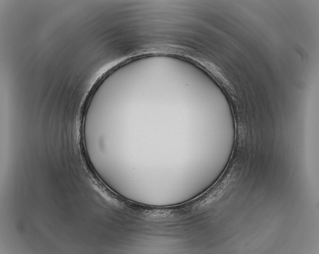 X0000113090846200909251008