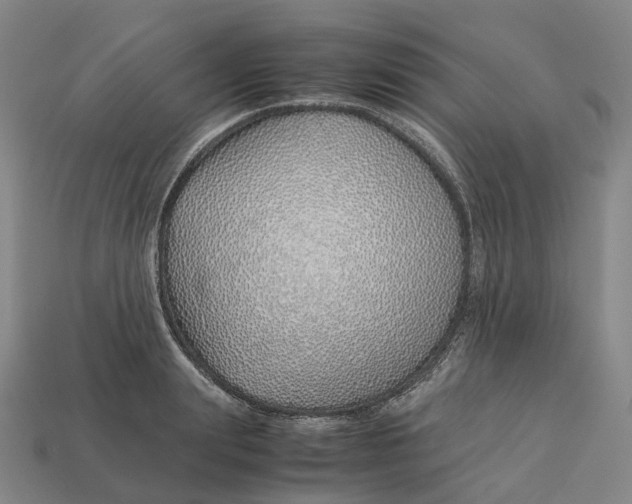 X0000113090847200909251008