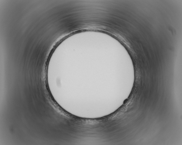 X0000113090848200909251008