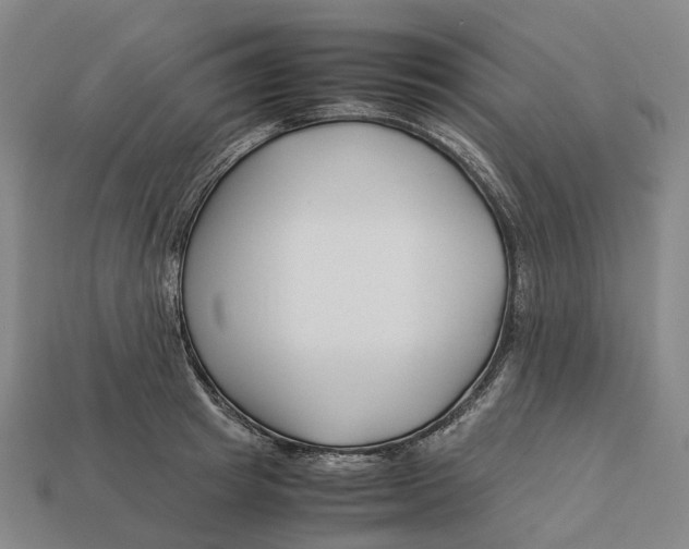 X0000113090849200909251009