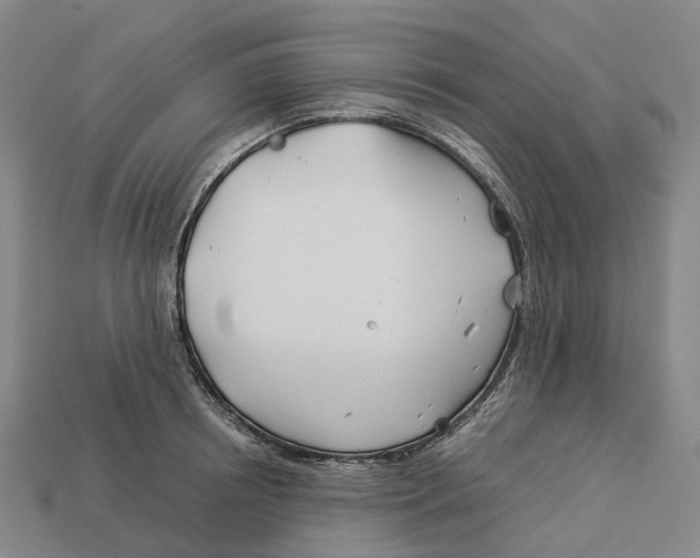 X0000113090850200909251009