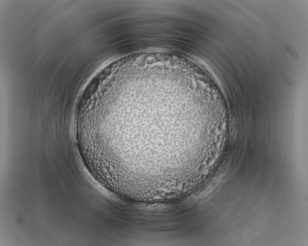 X0000113090851200909251009