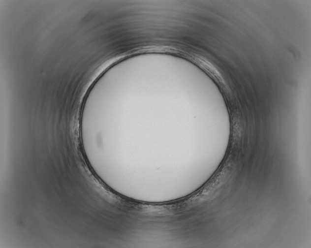 X0000113090852200909251009