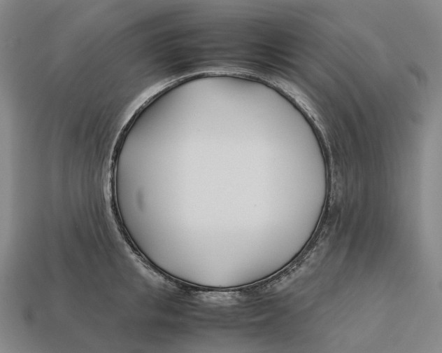 X0000113090853200909251009