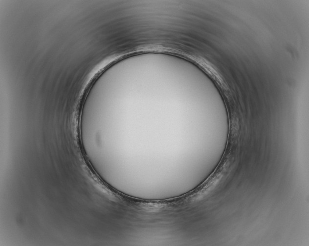 X0000113090854200909251009