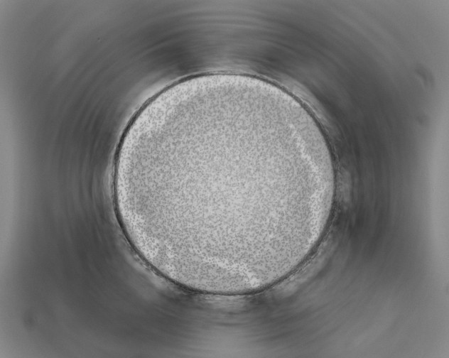 X0000113090856200909251009