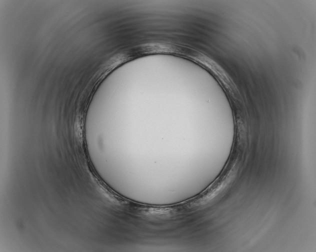 X0000113090857200909251009