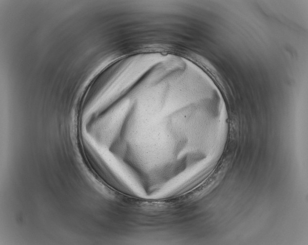 X0000113090859200909251009