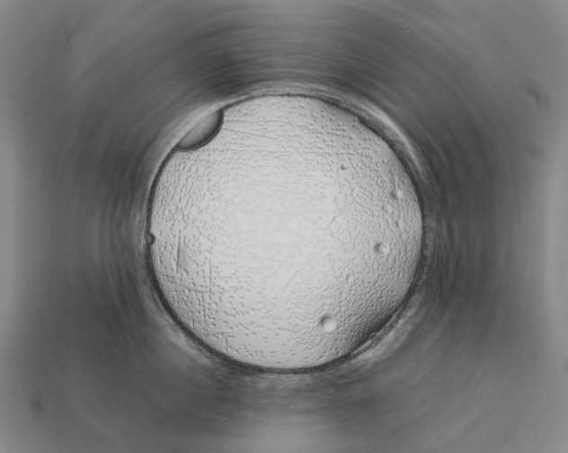 X0000113090860200909251009