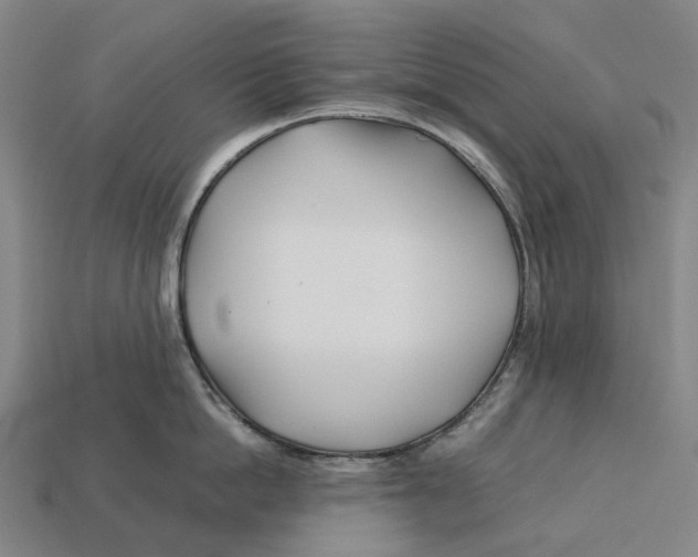 X0000113090862200909251009