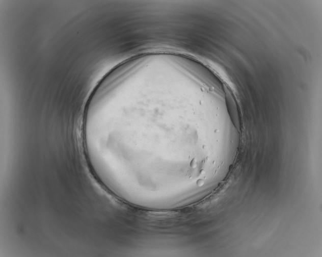 X0000113090863200909251009