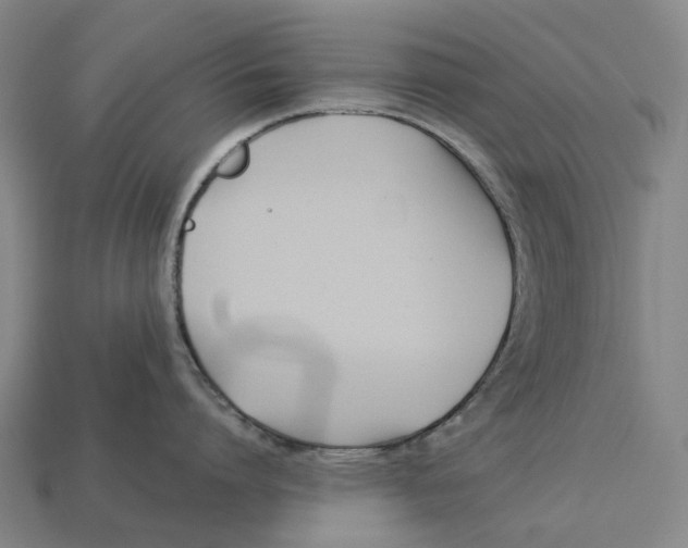 X0000113090864200909251009