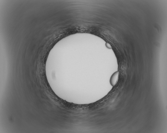 X0000113090865200909251008