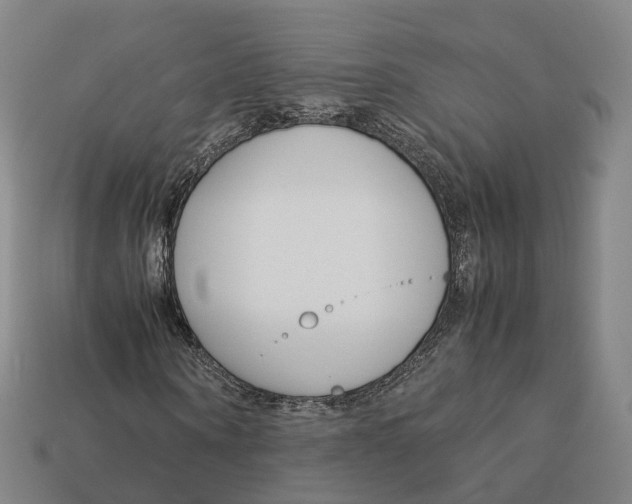 X0000113090866200909251008