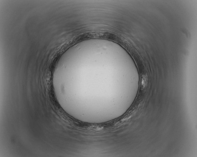 X0000113090867200909251008