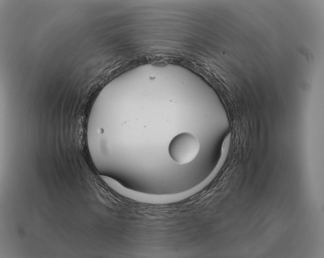 X0000113090868200909251008