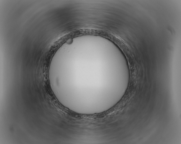 X0000113090870200909251008