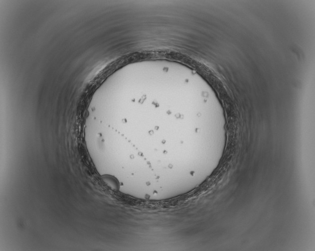 X0000113090871200909251008