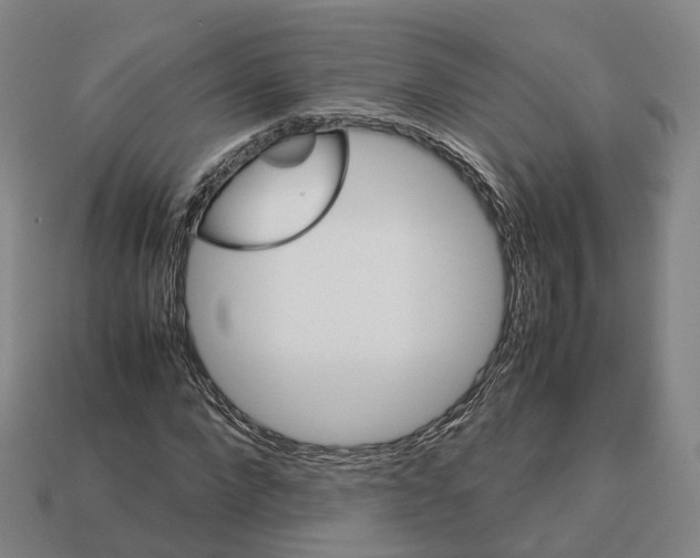 X0000113090872200909251008
