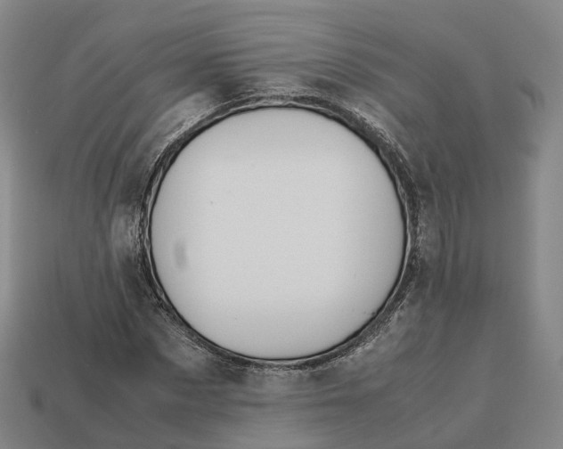 X0000113090873200909251008