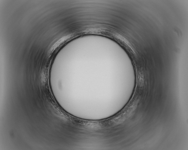 X0000113090874200909251008