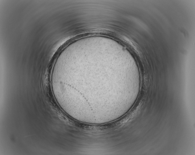 X0000113090875200909251008