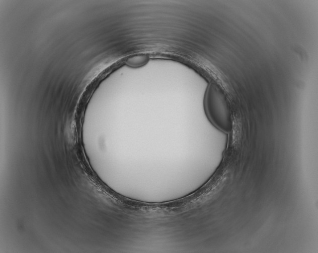 X0000113090876200909251008