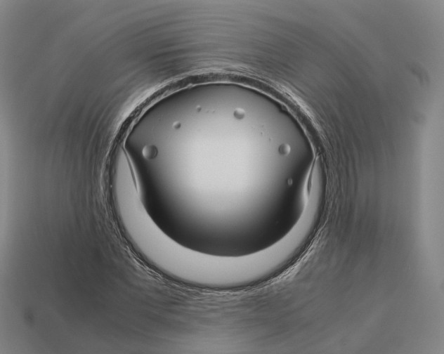 X0000113090877200909251008
