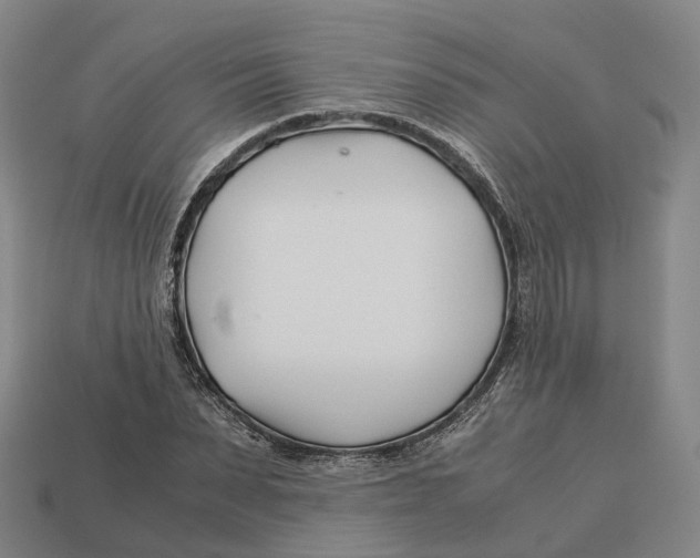 X0000113090879200909251008
