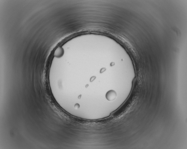 X0000113090880200909251008