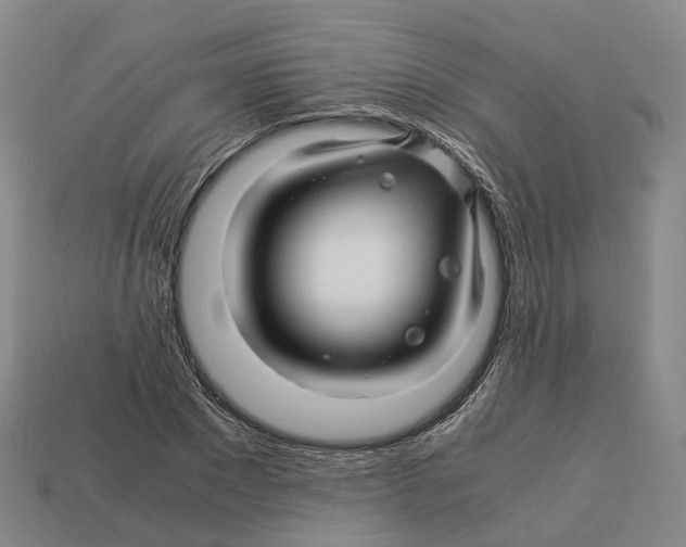 X0000113090881200909251008