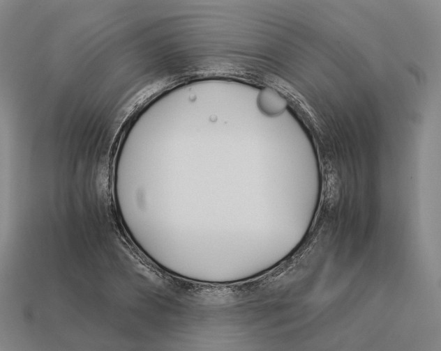 X0000113090882200909251008