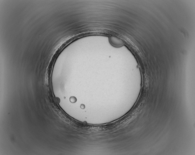 X0000113090883200909251008