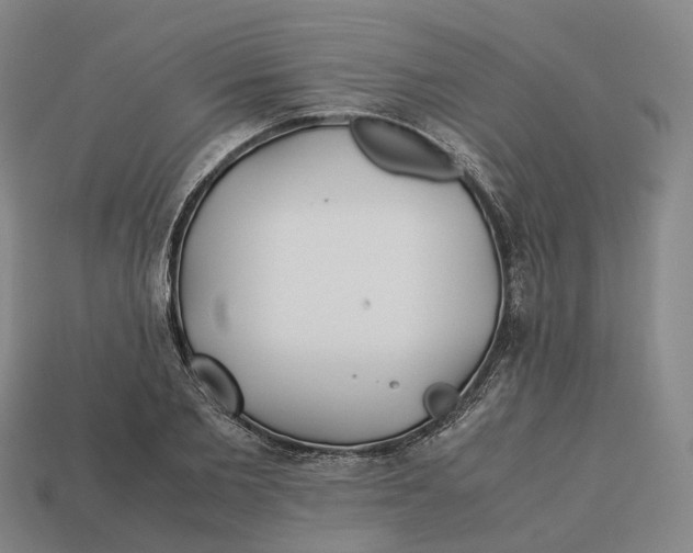 X0000113090885200909251008
