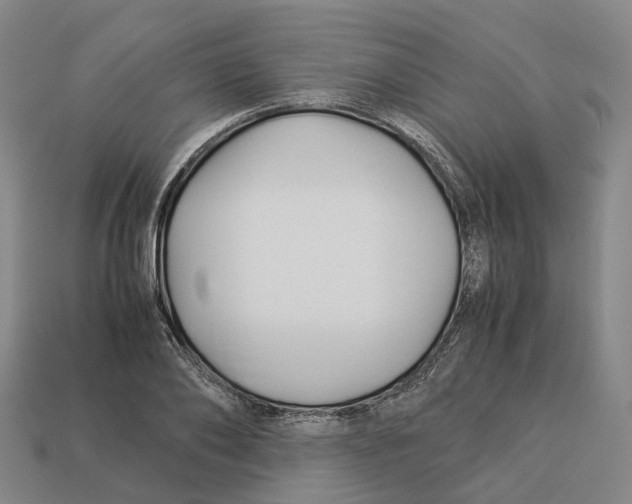 X0000113090886200909251008