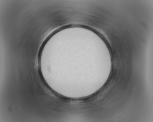 X0000113090887200909251008