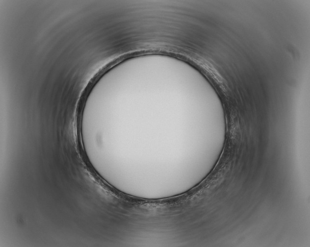 X0000113090888200909251008