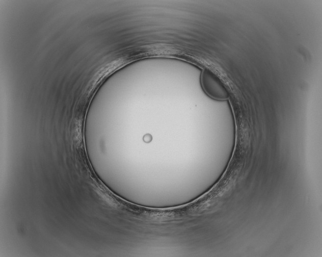 X0000113090889200909251008