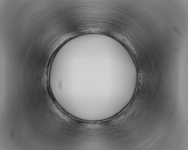 X0000113090890200909251008