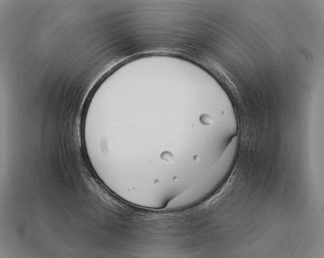 X0000113090892200909251008