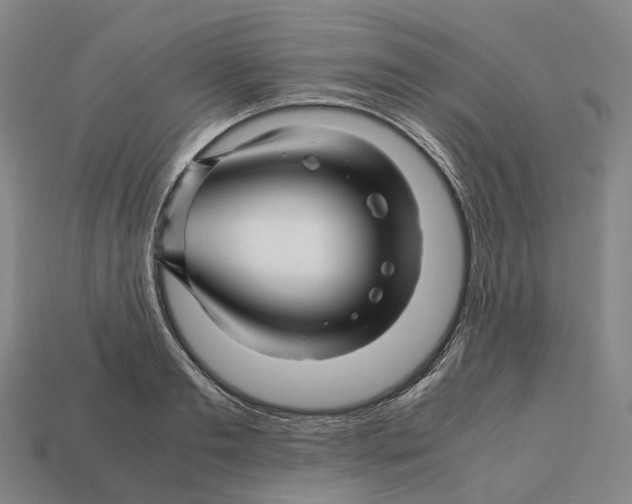 X0000113090893200909251008