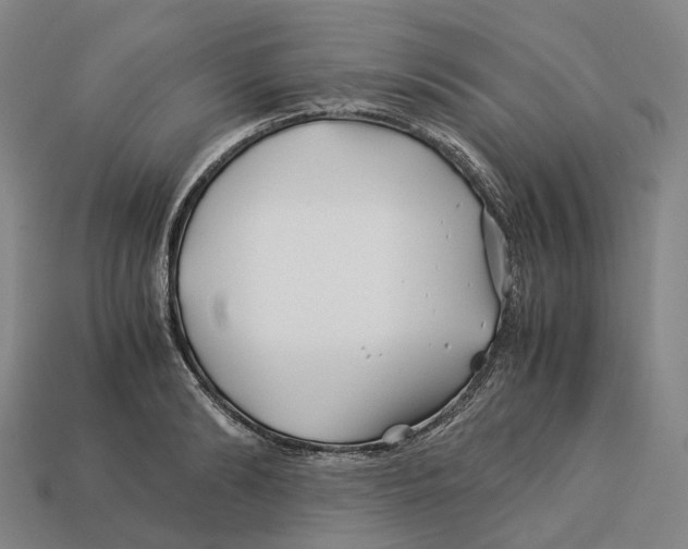 X0000113090894200909251008